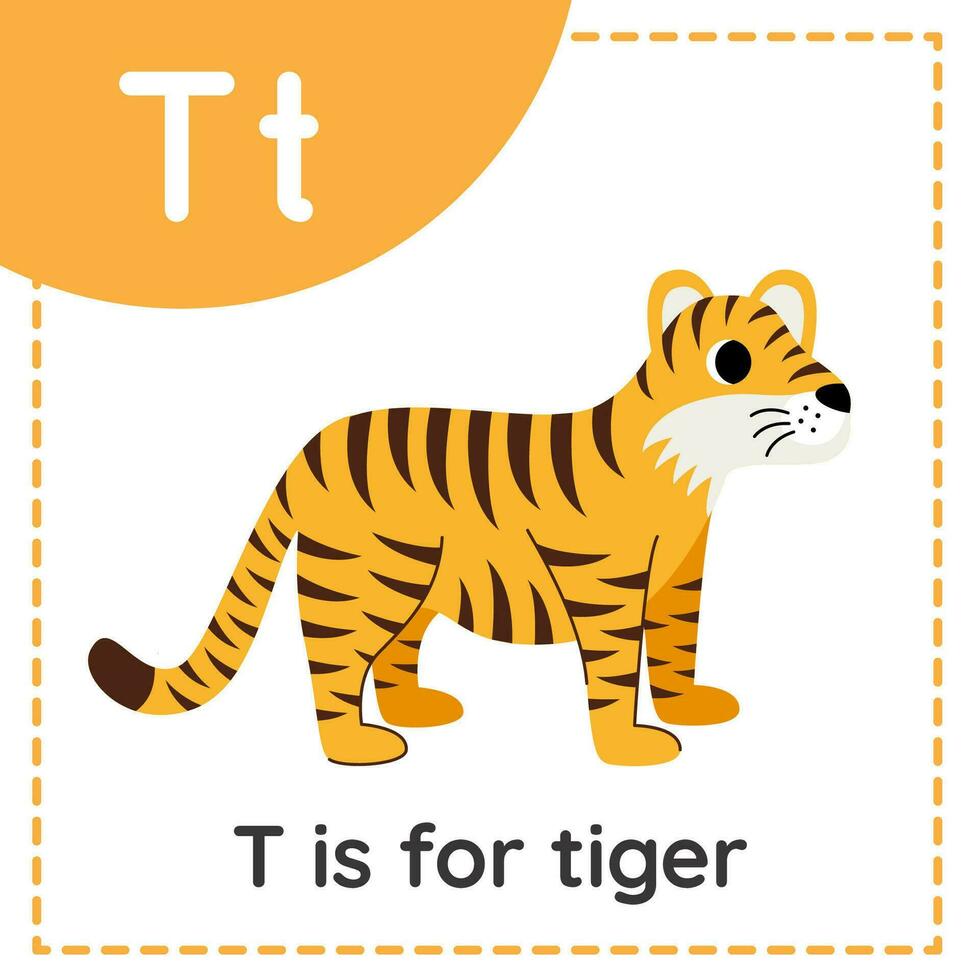 aprender el alfabeto inglés para niños. letra t. tigre de dibujos animados lindo. vector