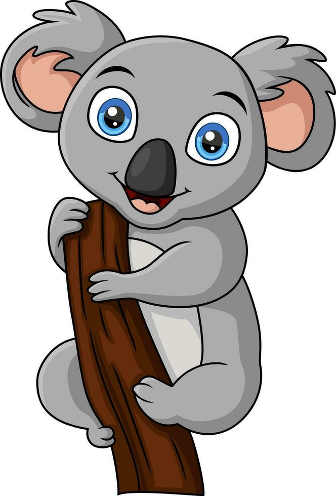 Cute koala cartoon on a tree branch vector
