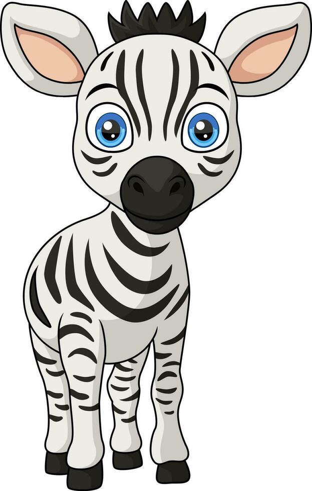 Cute baby zebra cartoon on white background vector