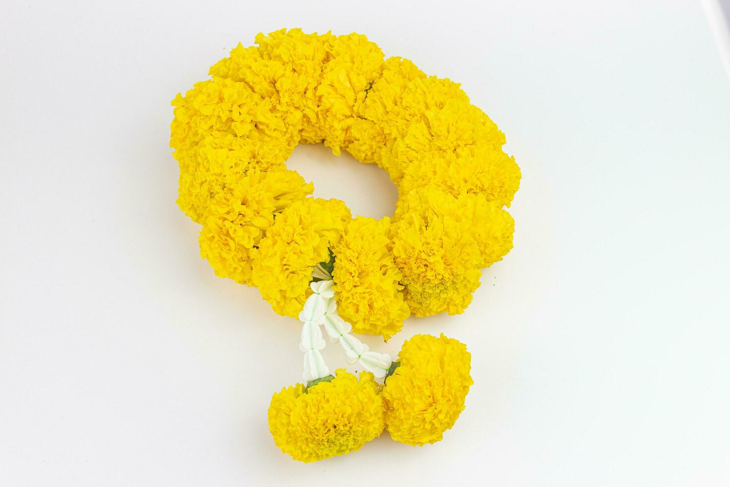 Garland of yellow marigold flowers on white background with copy space for text. photo