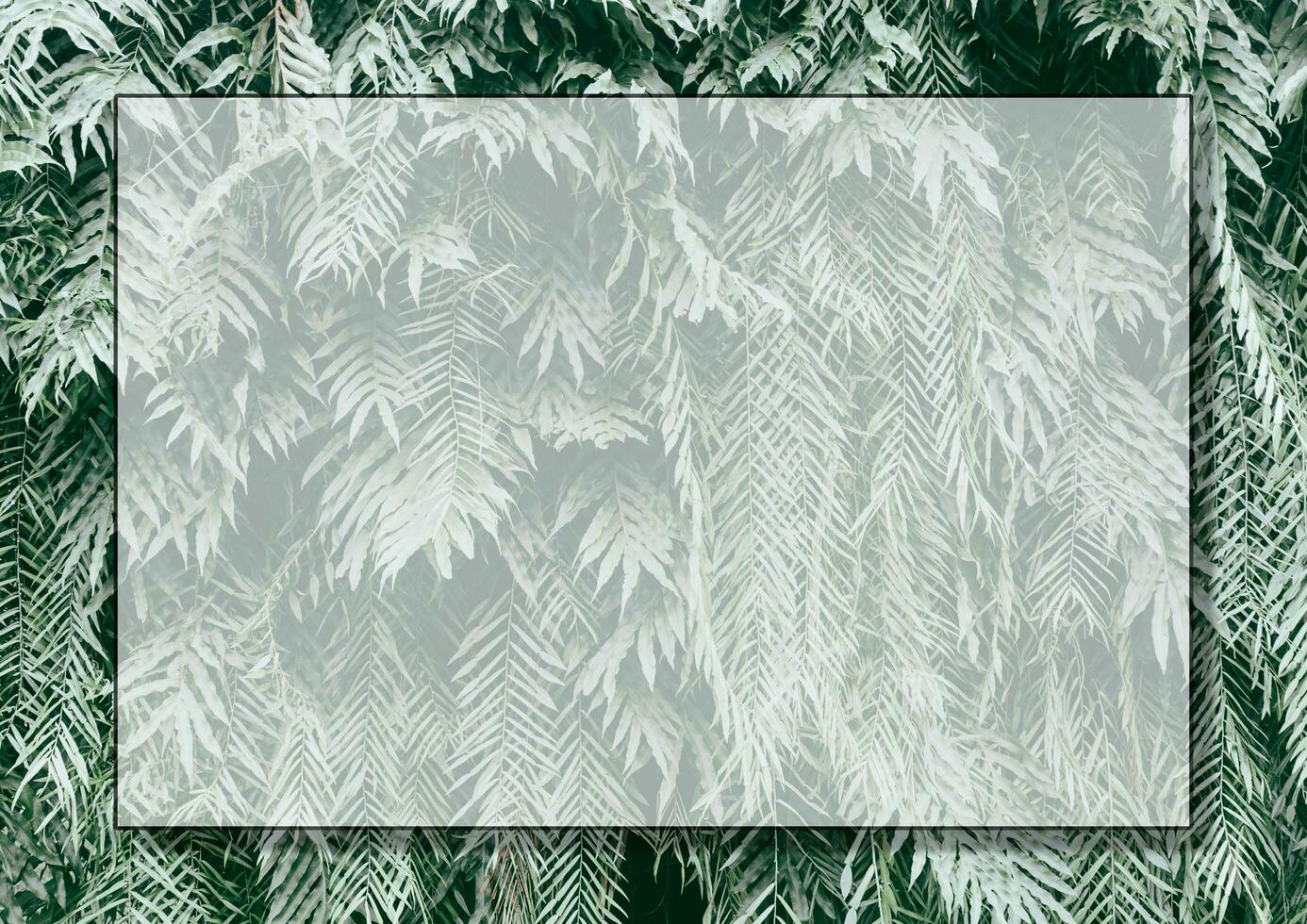 Green leaves background with space for text or image photo
