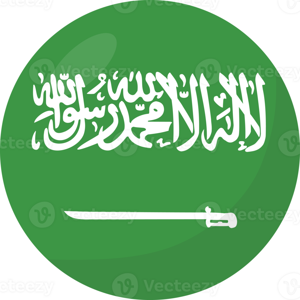 Saudi Arabia flag circle 3D cartoon style. png