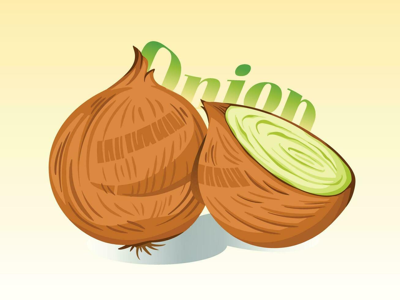 Onion vector illustration, whole and sliced half. Cooking ingredients drawing isolated on gradient yellow and white background. Simple flat cartoon art styled drawing. Banner label design.