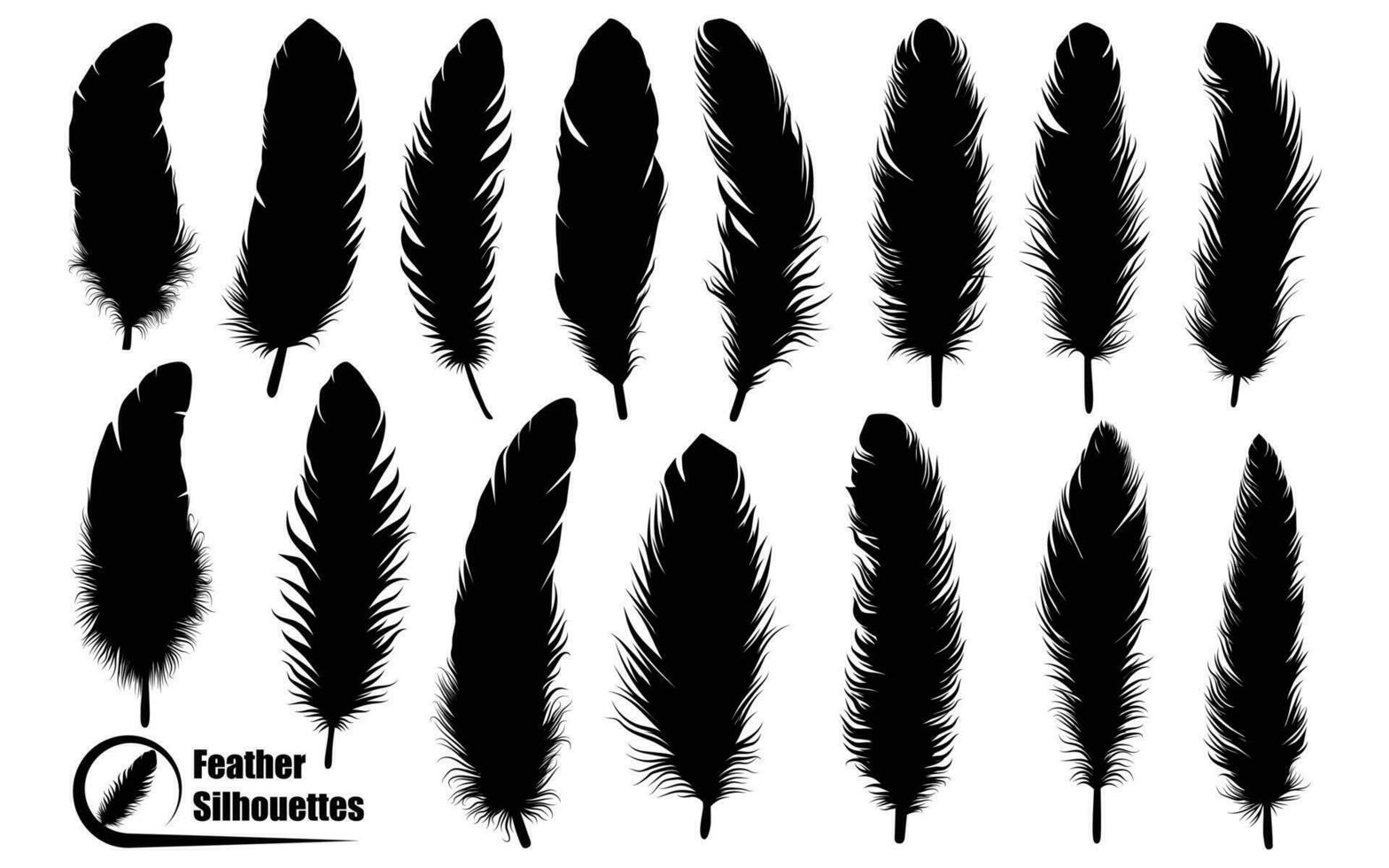 pájaro diferente tipos plumas siluetas vector Arte