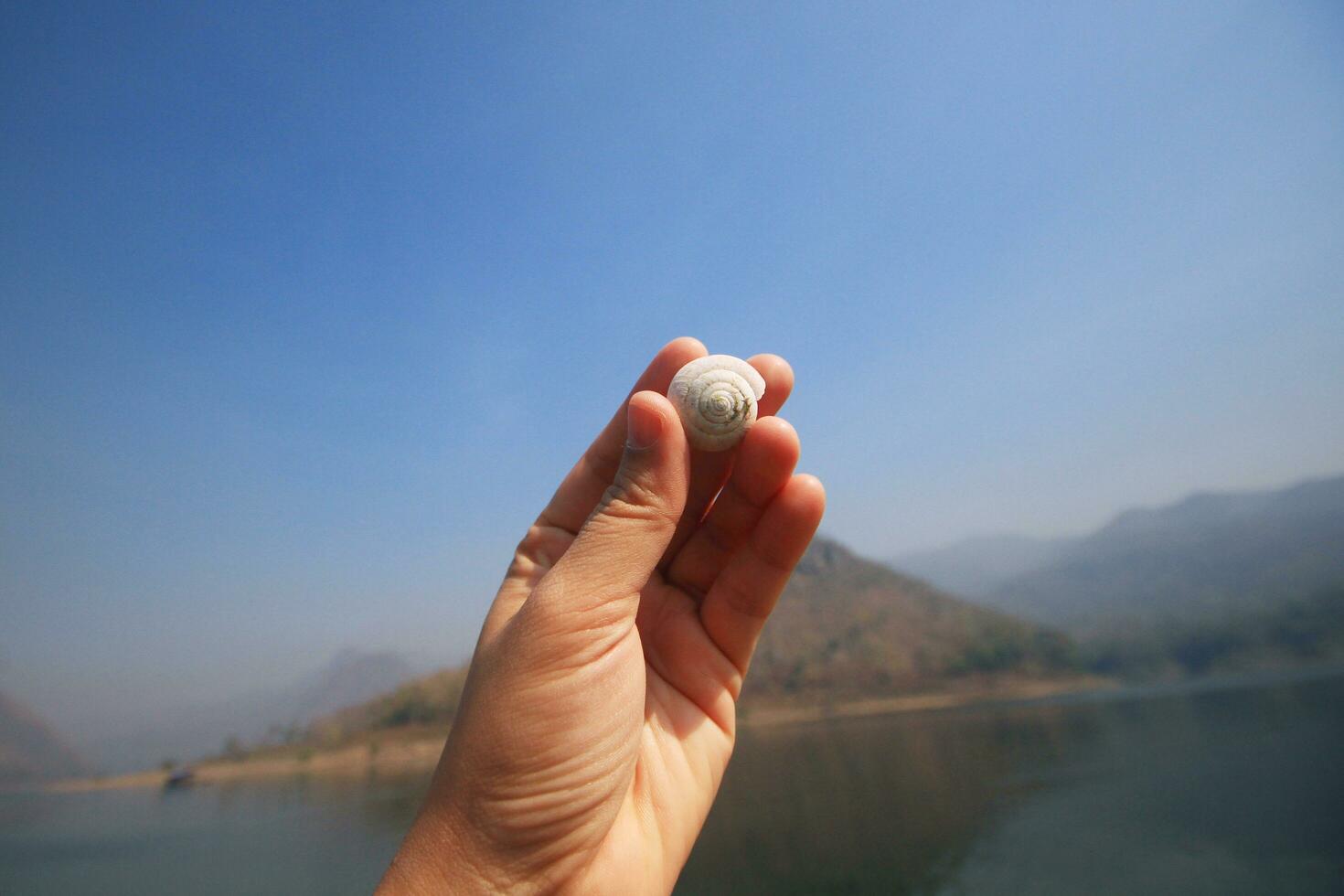 asiático mujer mano participación un caracol o nautilo y mariscos cerca el río y montaña en nacional parque a Tailandia foto