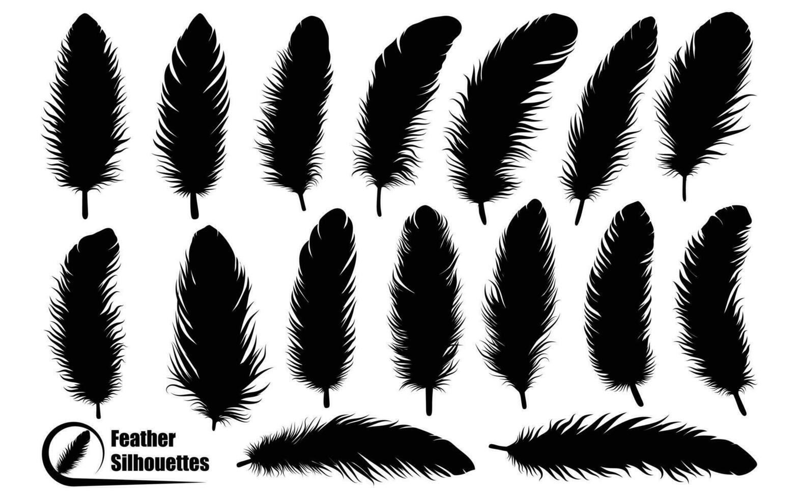 Bird Different types Feathers silhouettes vector art