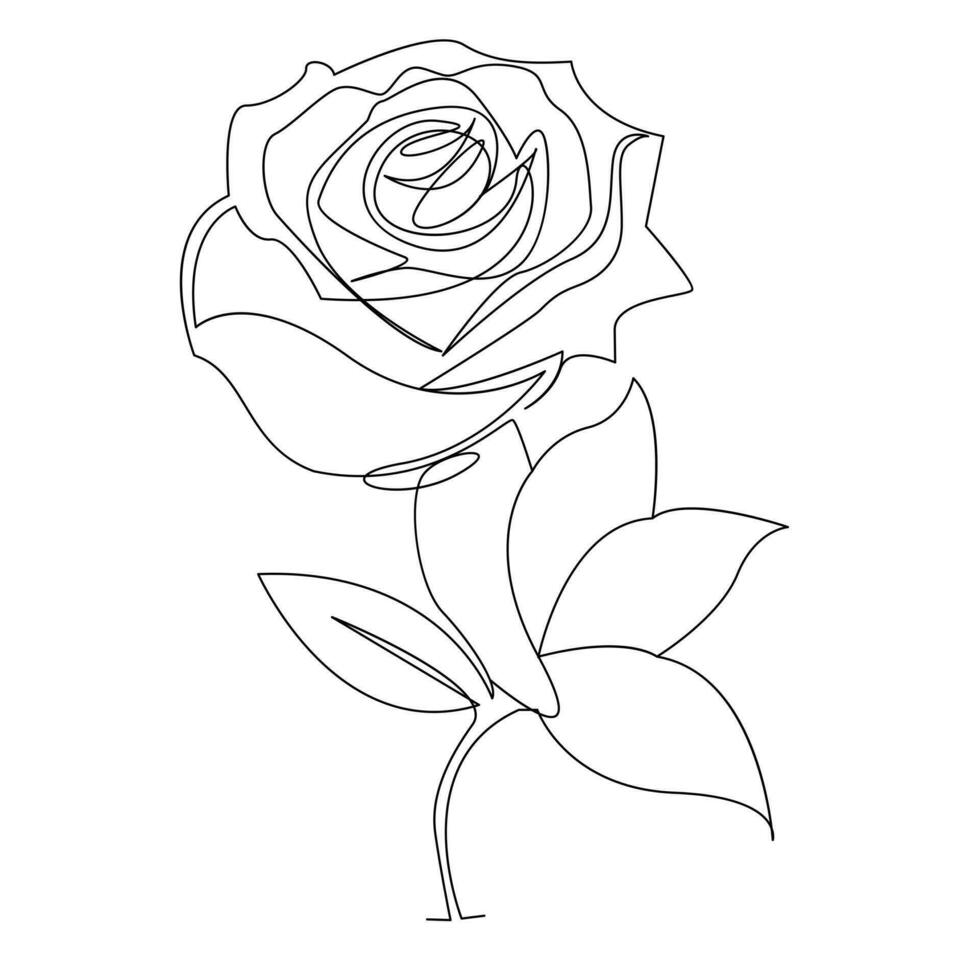 Continuous one line rose flower  outline vector art drawing