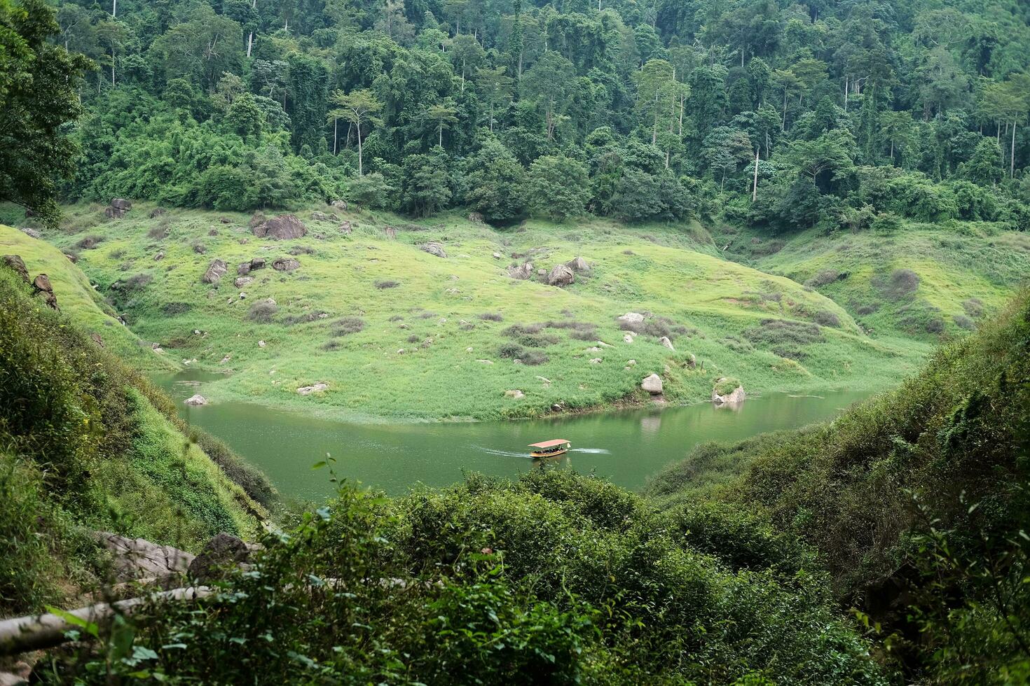 Tourists enjoying on long tail boat in the river tropical rain forest and greenery wild jungle on rocky mountain. photo
