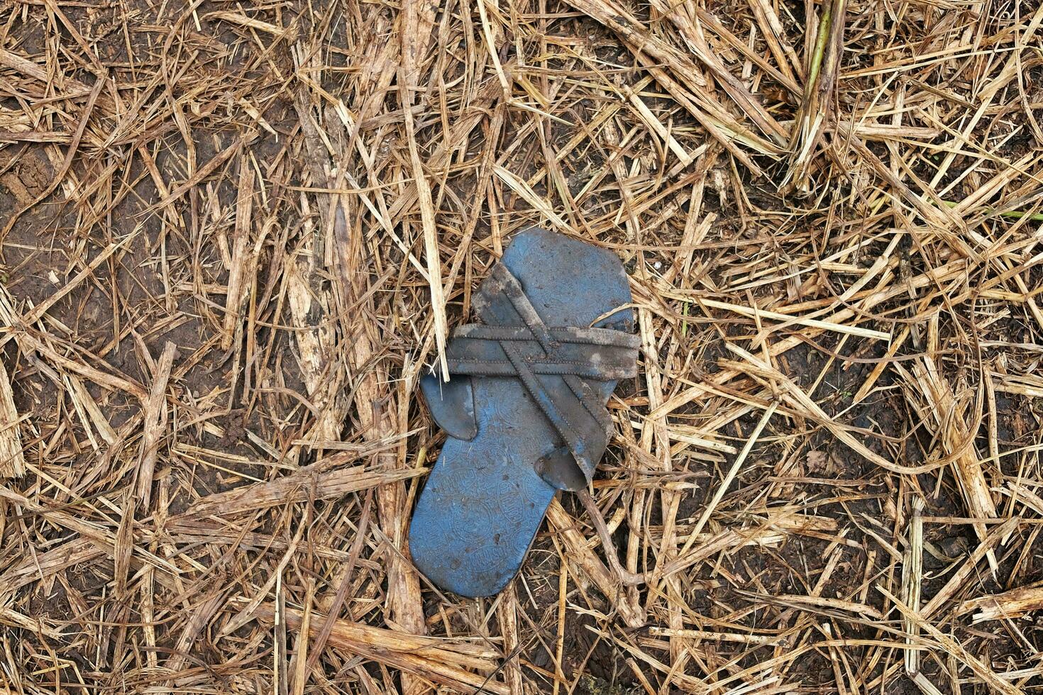 Garbage dirty shoes on dry leaves photo