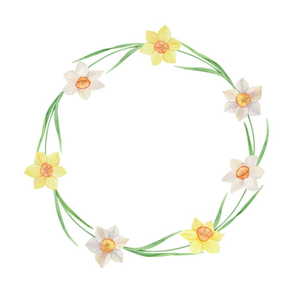 Watercolor Wreath of yellow and white daffodils. Hand painted illustration with spring flowers vector, frame for invitation. vector