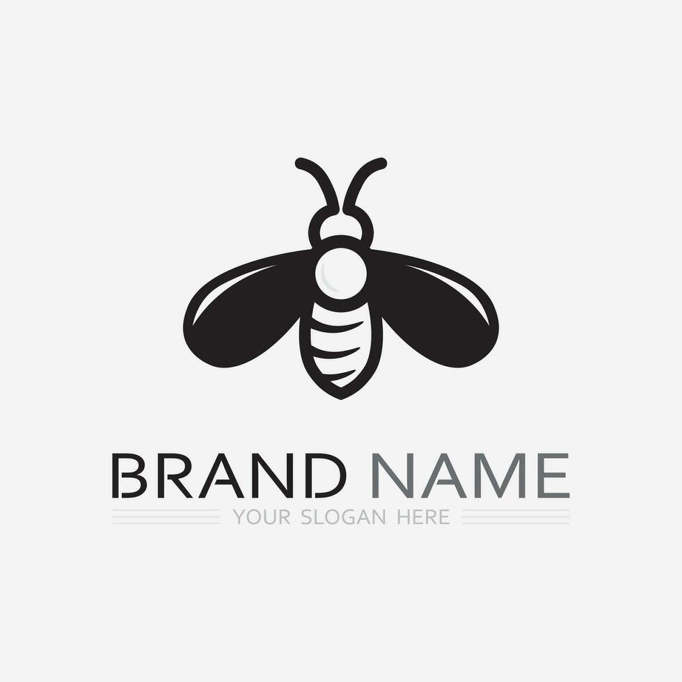 bee and honey logo vector design and insect animal illustration