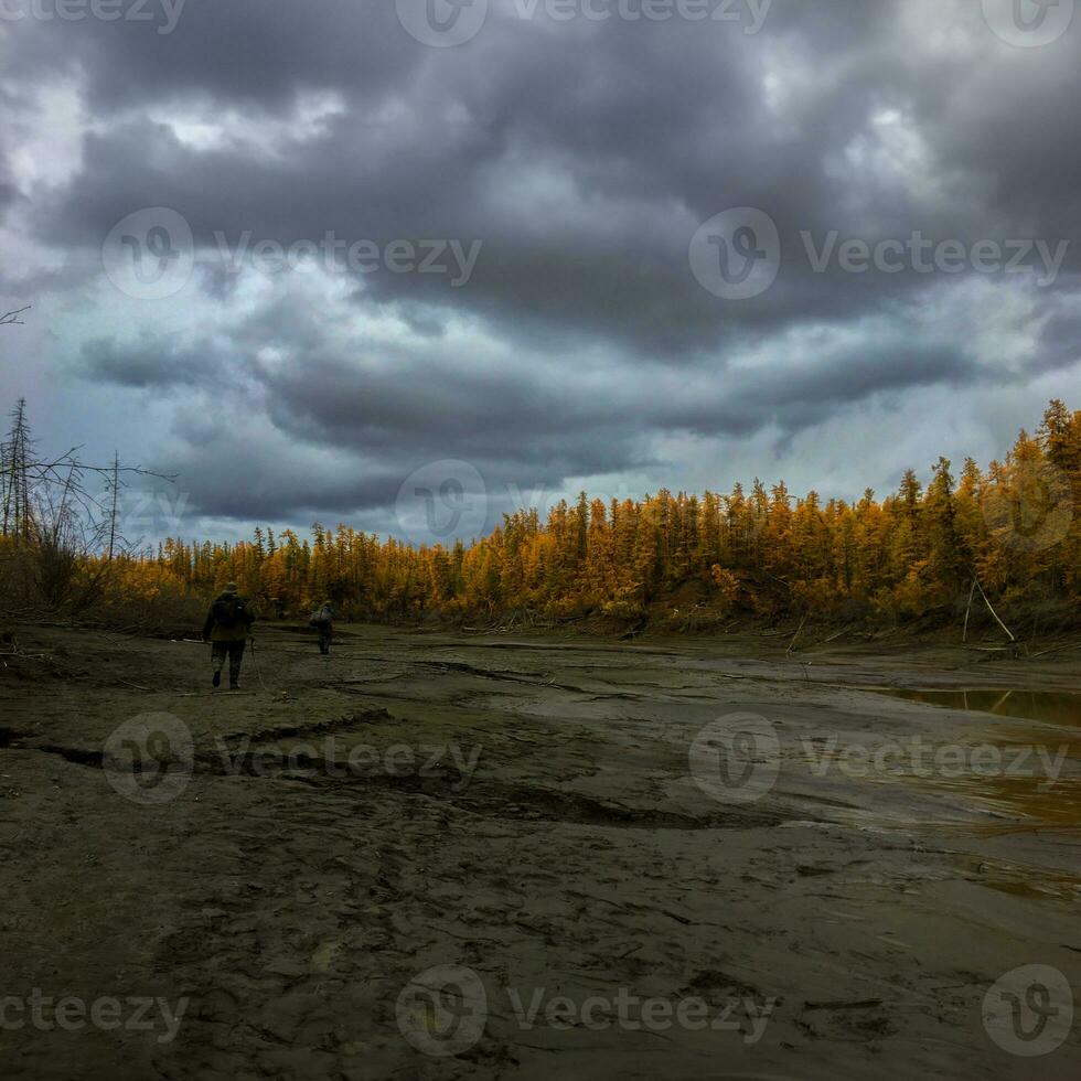 A path along the bed of a dried-up northern river against the background of an autumn forest photo