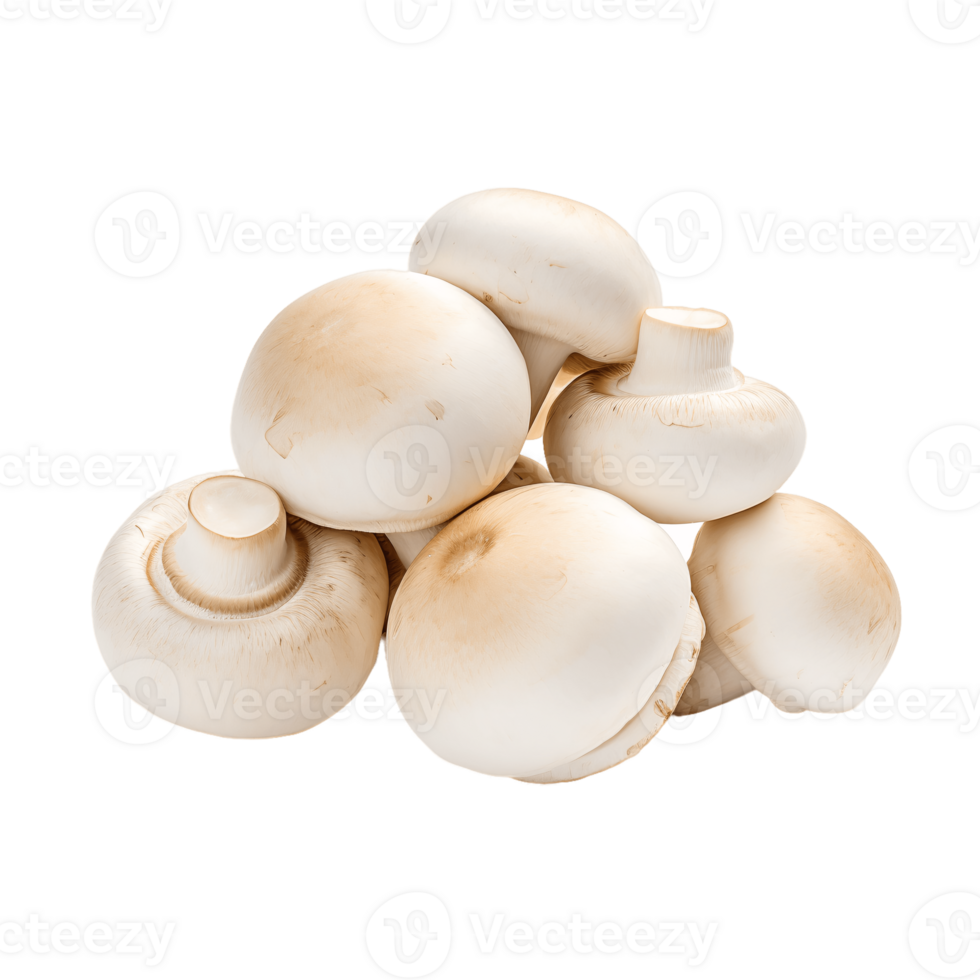 ai generative Champignons isolated on transparent background. png