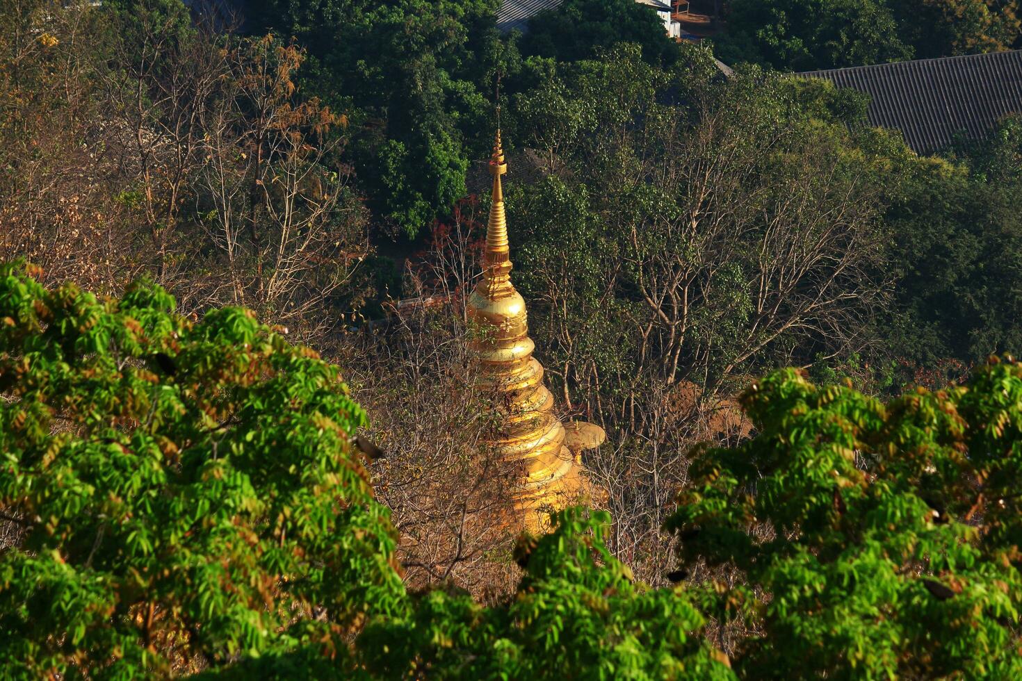 Heritage Golden Buddha statue and pagoda located in the forest and on the mountain in northern of Thailand Bird eye view photo