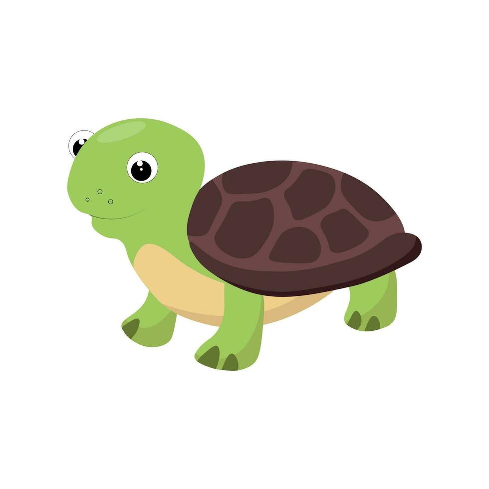 linda Tortuga dibujos animados aislado en blanco antecedentes vector ilustración.