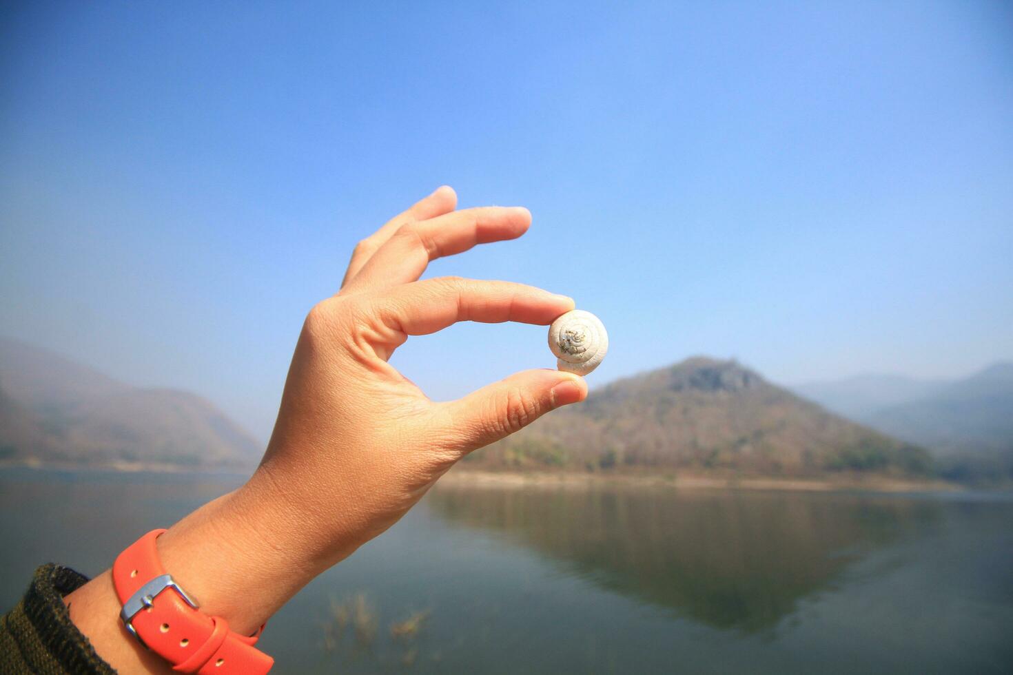 Asian woman Hand holding a snail or nautilus and shellfish near the river and mountain in national park at Thailand photo
