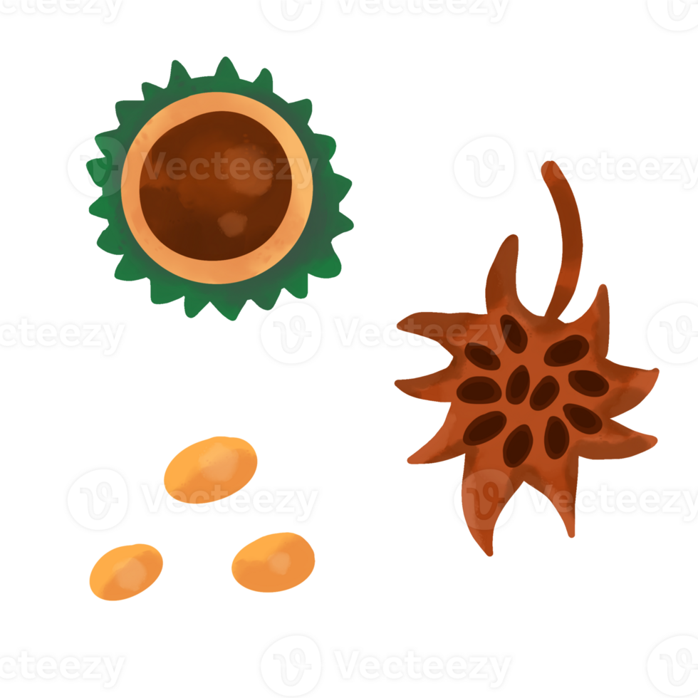 Cute Watercolor Autumn Clipart png