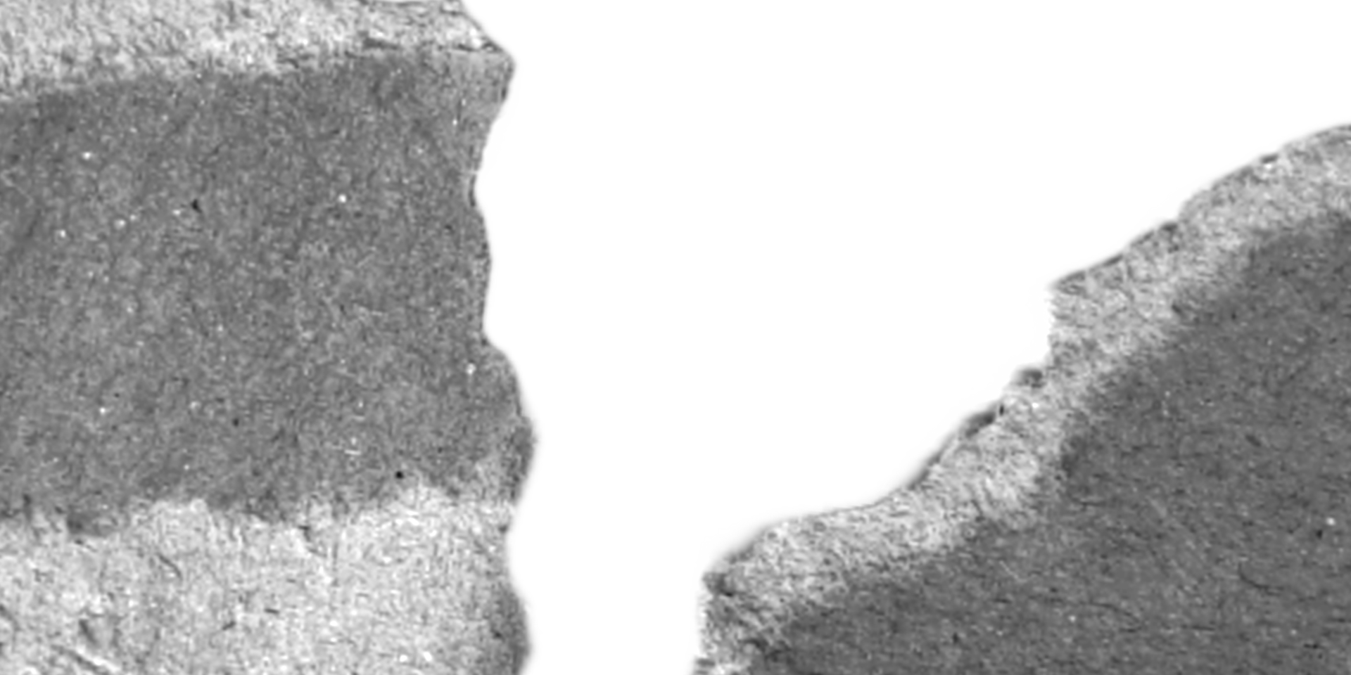 Realistic textured of torn ripped paper cardboard edges pieces. Rough grunge elements of paper materials. Copy Space for Text. png
