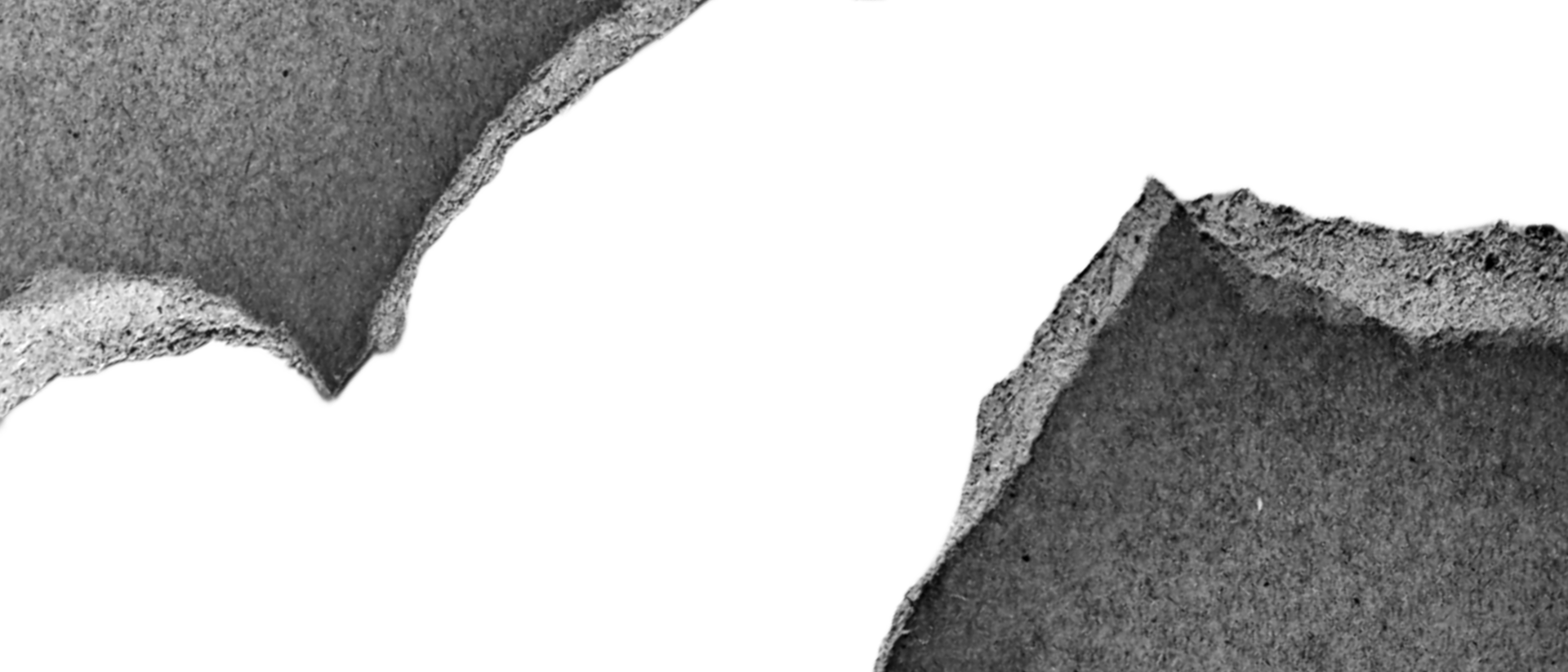 Realistic textured of torn ripped paper cardboard edges pieces. Rough grunge elements of paper materials. Copy Space for Text. png