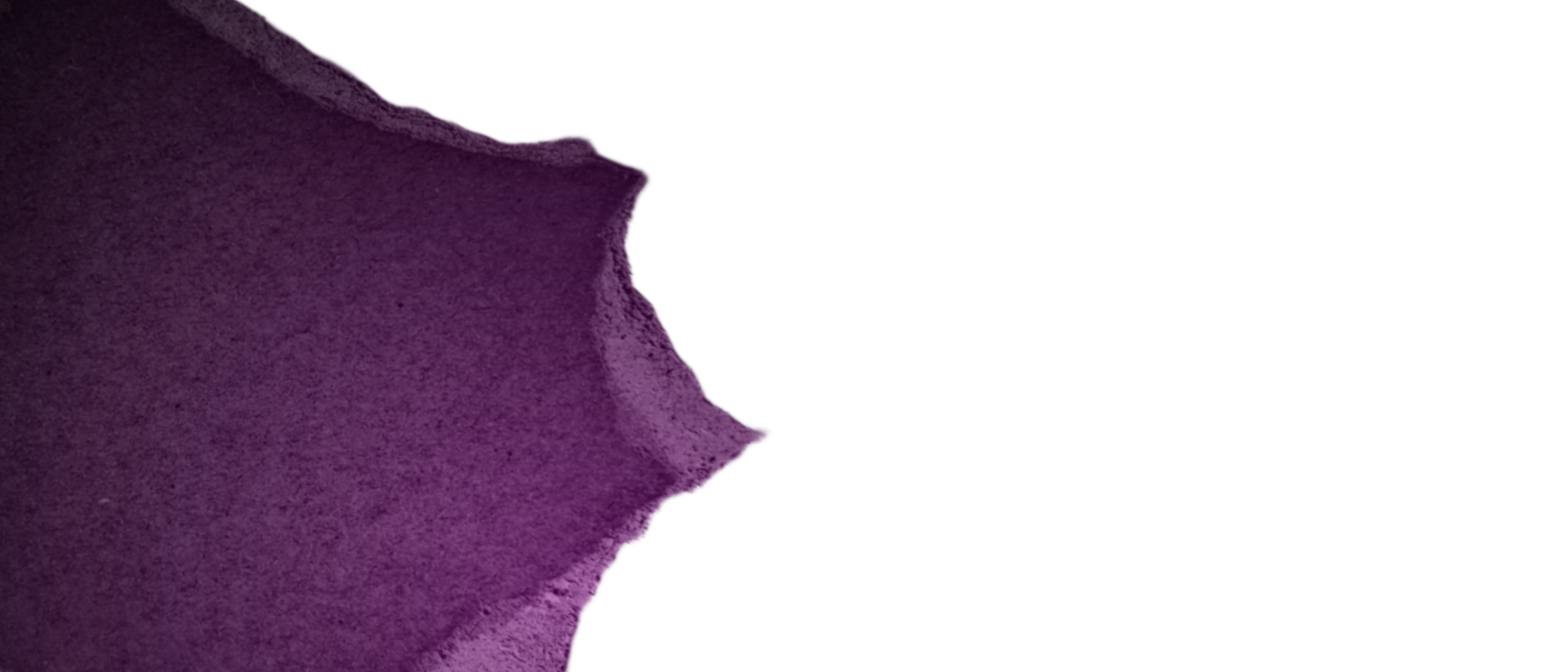 Realistic textured of torn ripped paper cardboard edges pieces. Rough grunge elements of paper materials. Copy Space for Text. png
