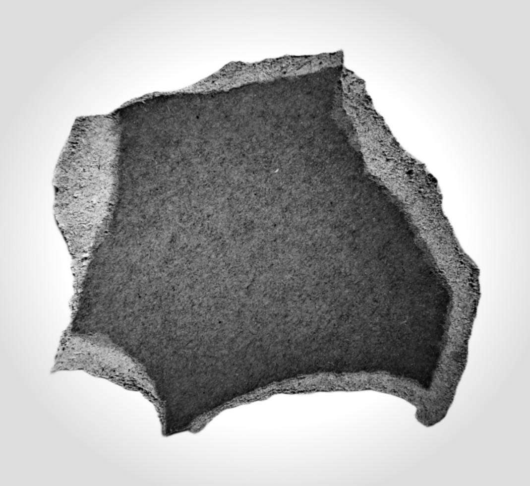 Realistic textured of torn ripped paper cardboard edges pieces. Rough grunge elements of paper materials. Copy Space for Text. png