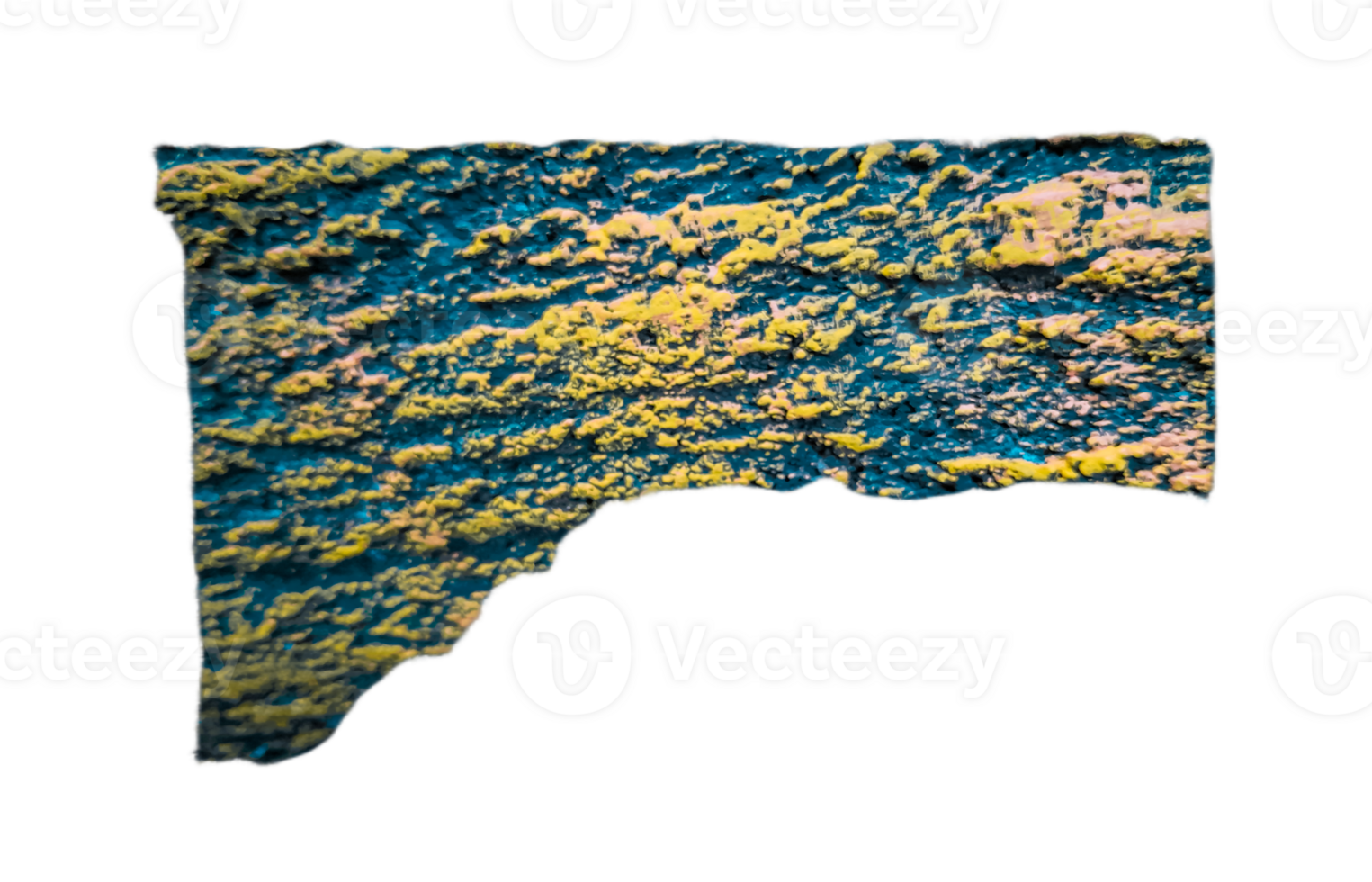 Close up texture of tree bark isolated on transparent background for using text box. png