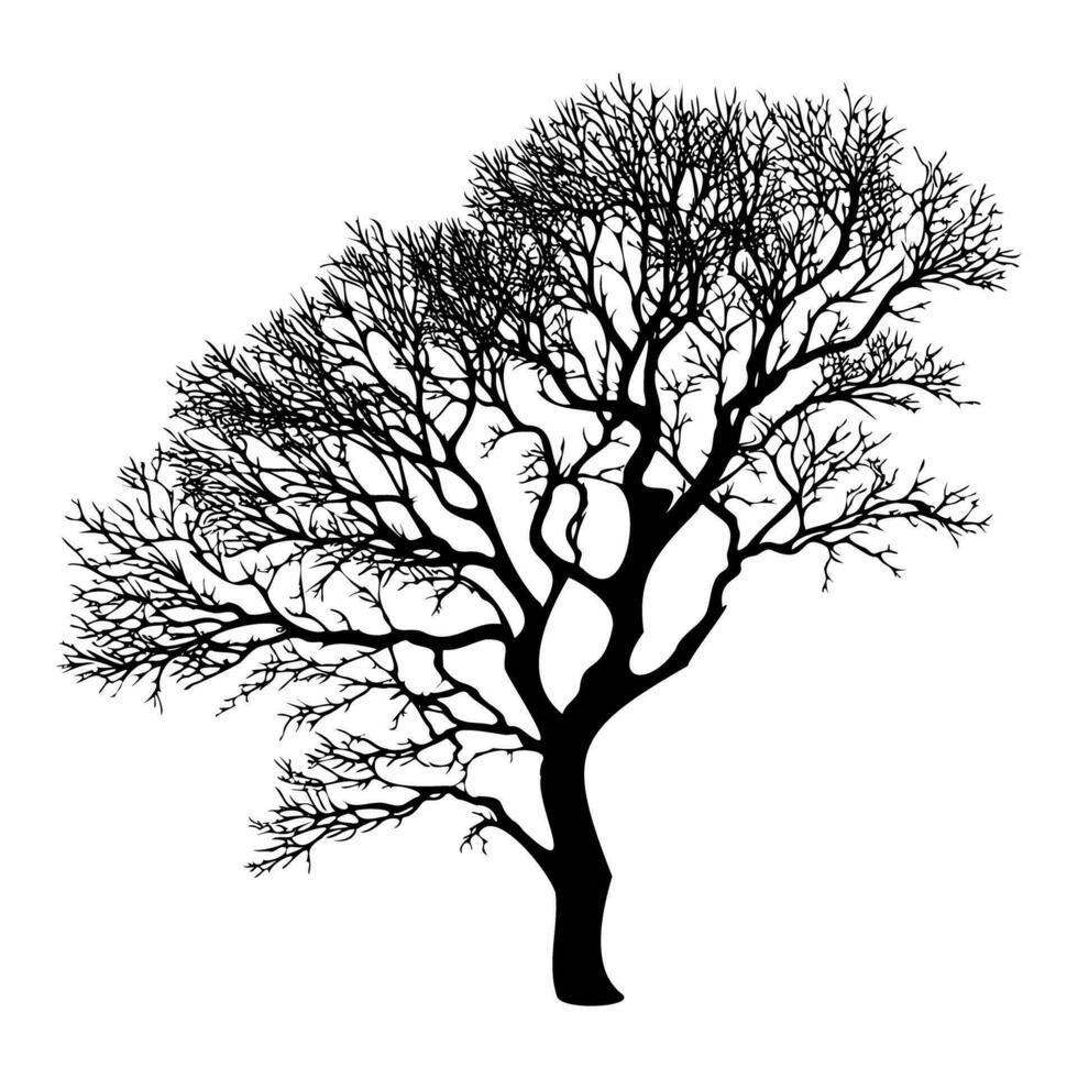 Winter bare tree silhouette. Vector illustration
