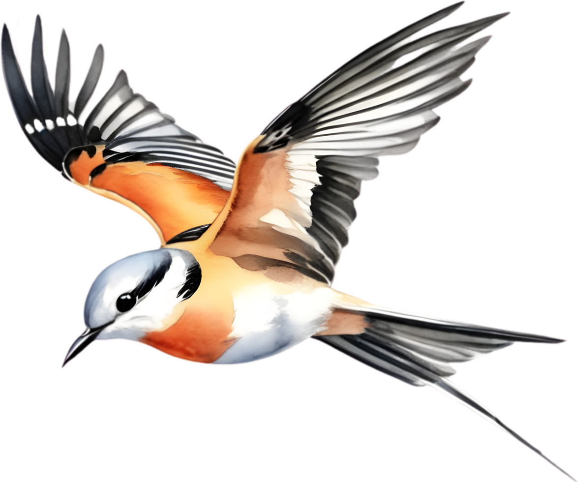 Watercolor paintings of colorful Scissor-tailed flycatcher birds.  Ai-Generated. png