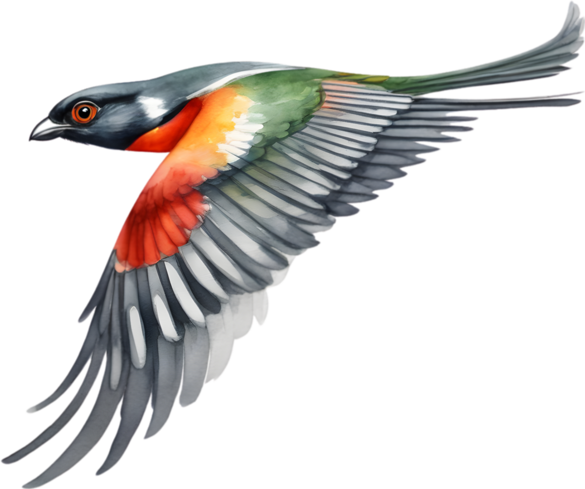 Watercolor paintings of colorful elegant trogon birds.  Ai-Generated. png