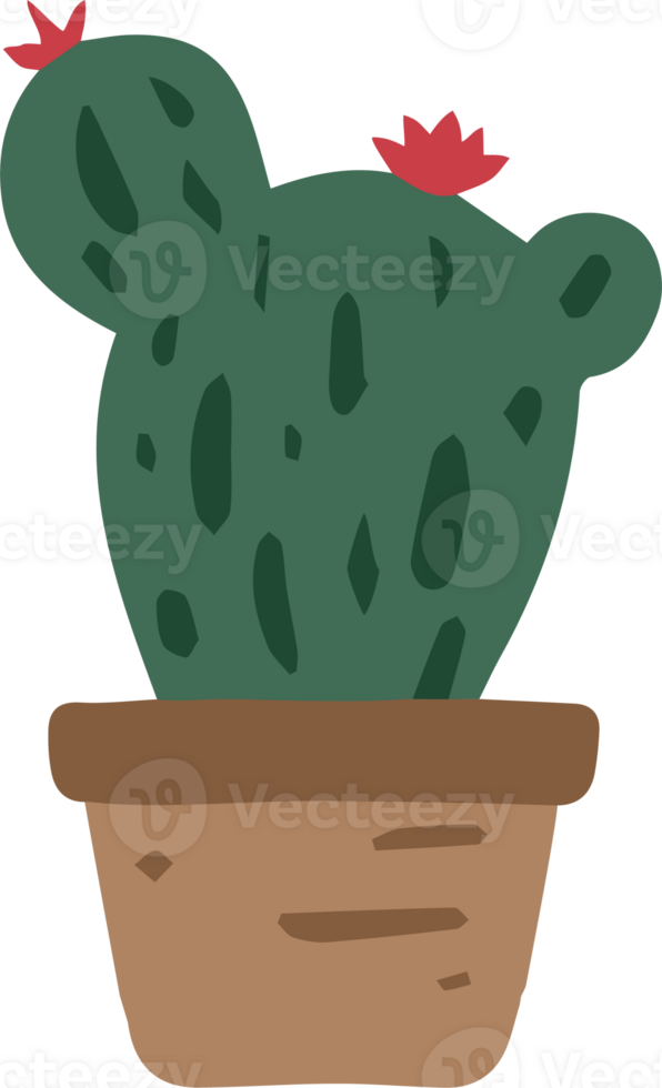 cactus plant in a pot clipart png