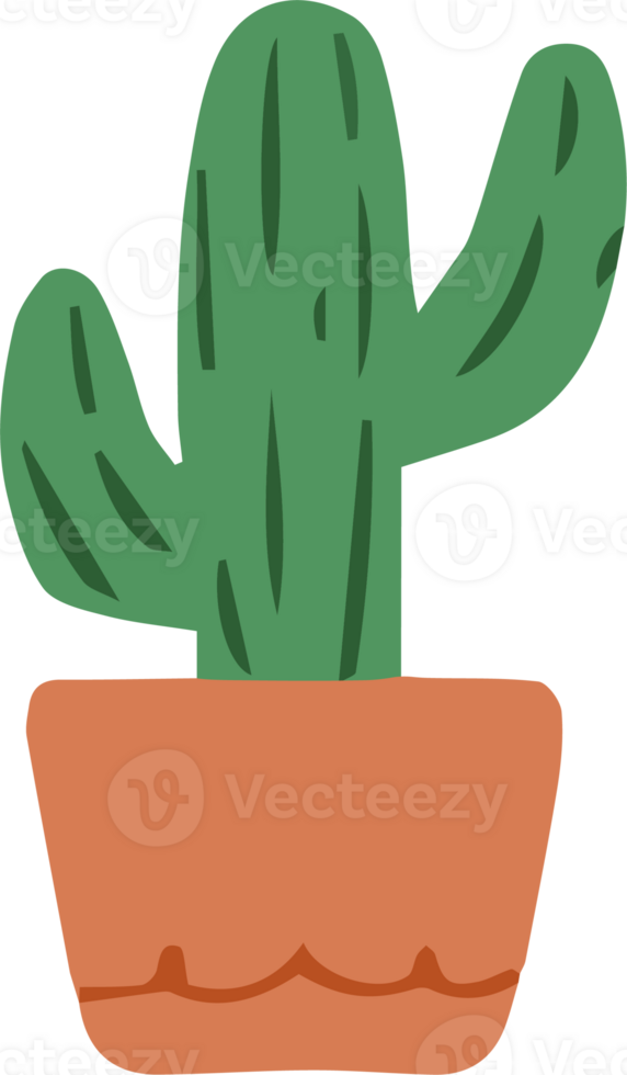 cactus plant in a pot clipart png