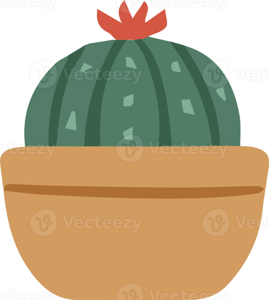 cactus klem kunst PNG