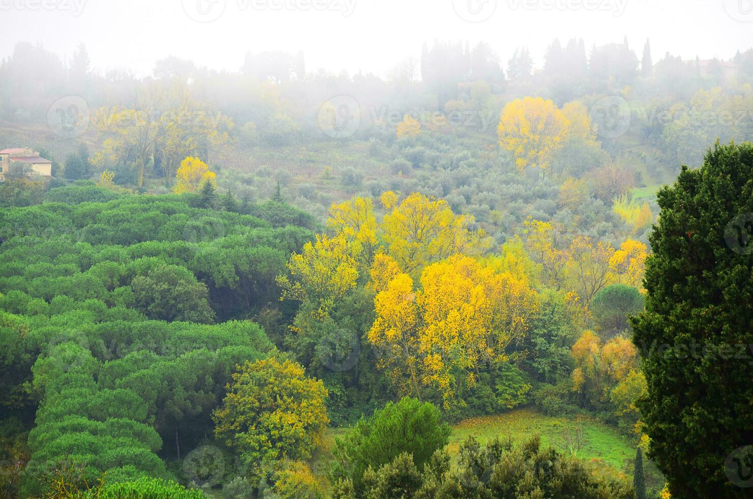 otoño colores tema foto