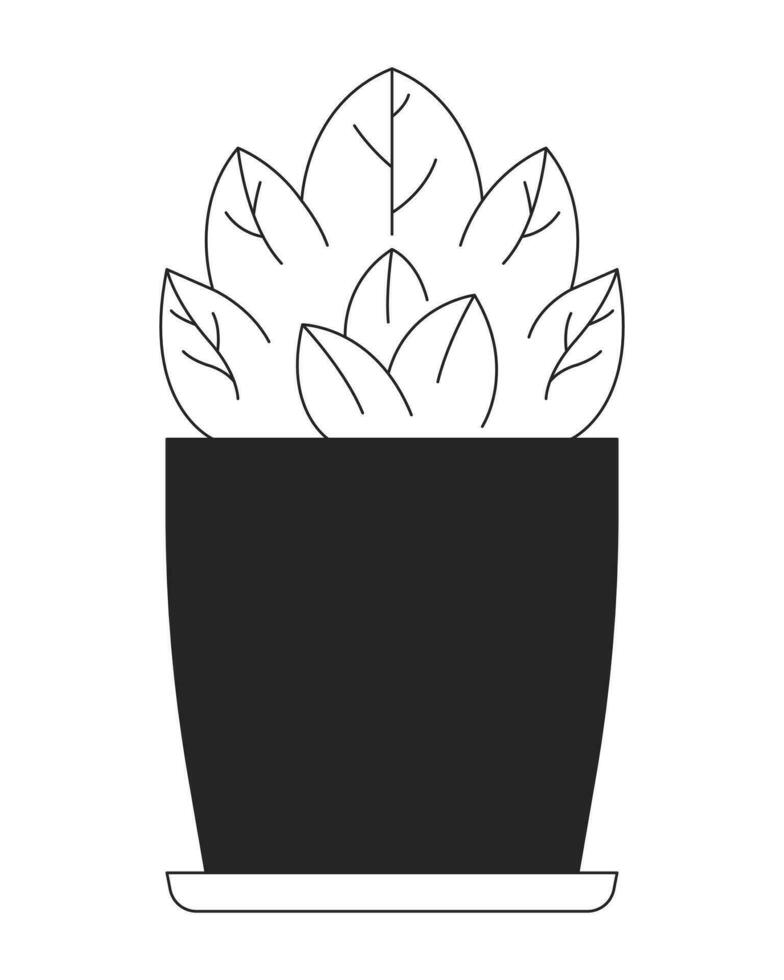 Small shrub potted black and white 2D line cartoon object. Evergreen plant indoor houseplant miniature bush isolated vector outline item. Dwarf shrub in pot monochromatic flat spot illustration