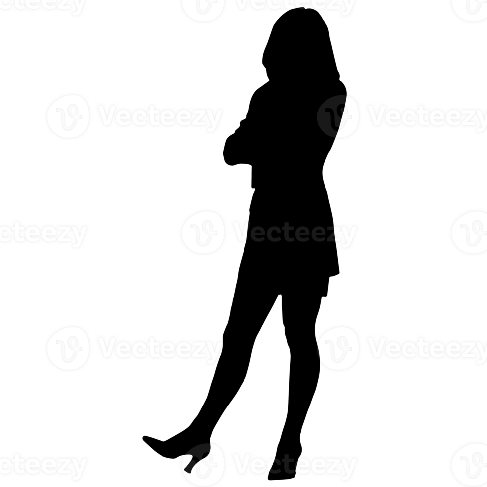 pessoas silhueta overlay. forma e formas. gráfico recurso e pano de fundo. png