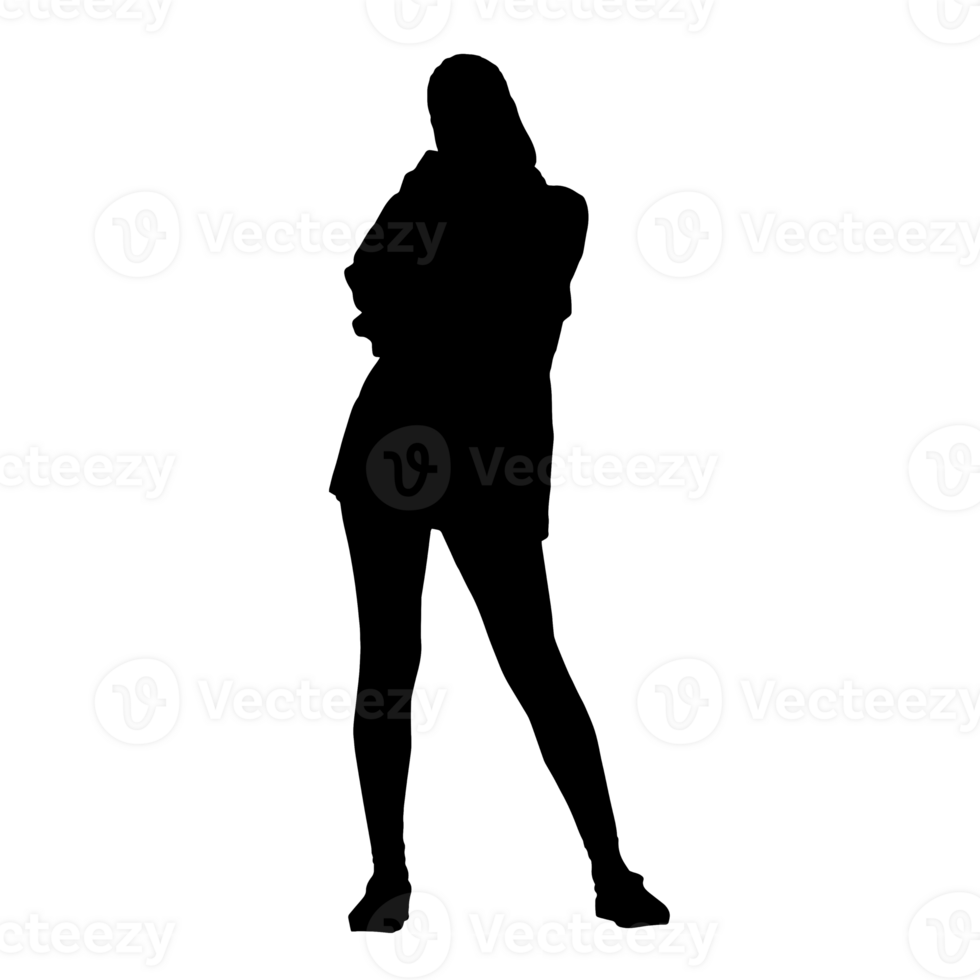 pessoas silhueta overlay. forma e formas. gráfico recurso e pano de fundo. png