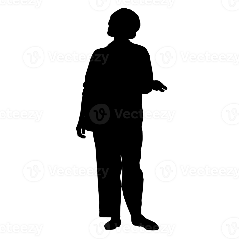 pessoas silhueta overlay. forma e formas. gráfico recurso e pano de fundo. png