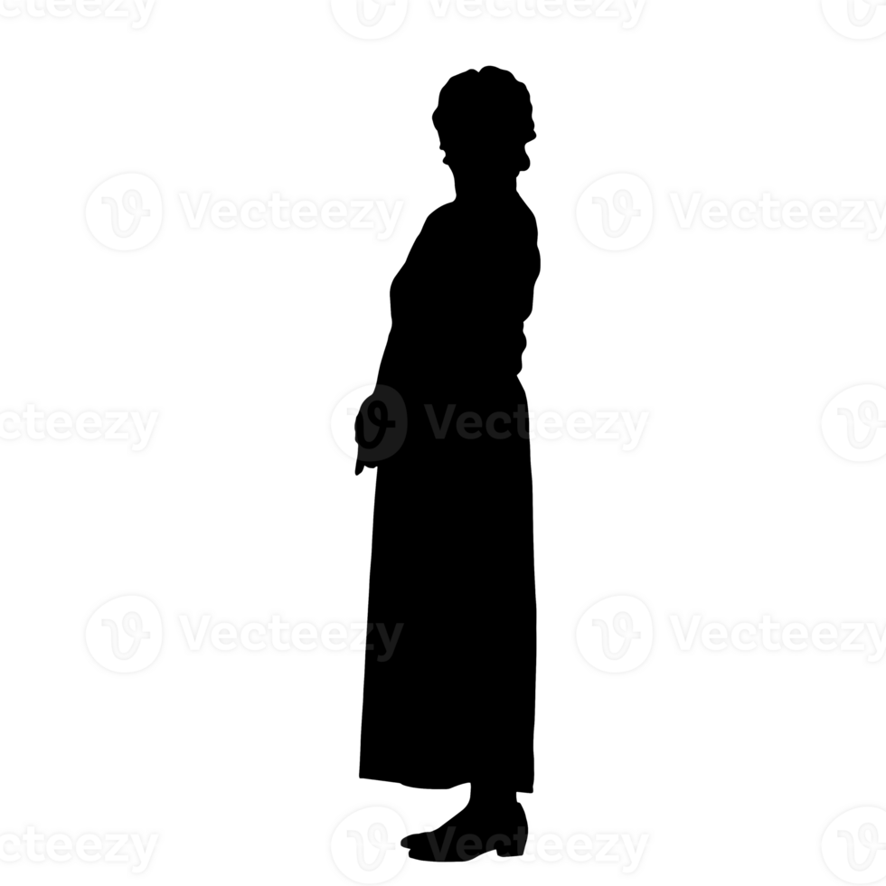 pessoas silhueta overlay. forma e formas. gráfico recurso e pano de fundo. png