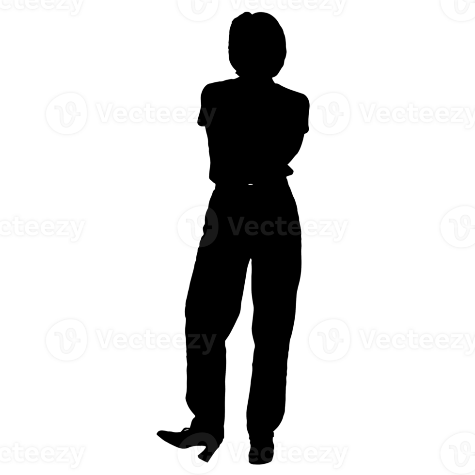 pessoas silhueta overlay. forma e formas. gráfico recurso e pano de fundo. png