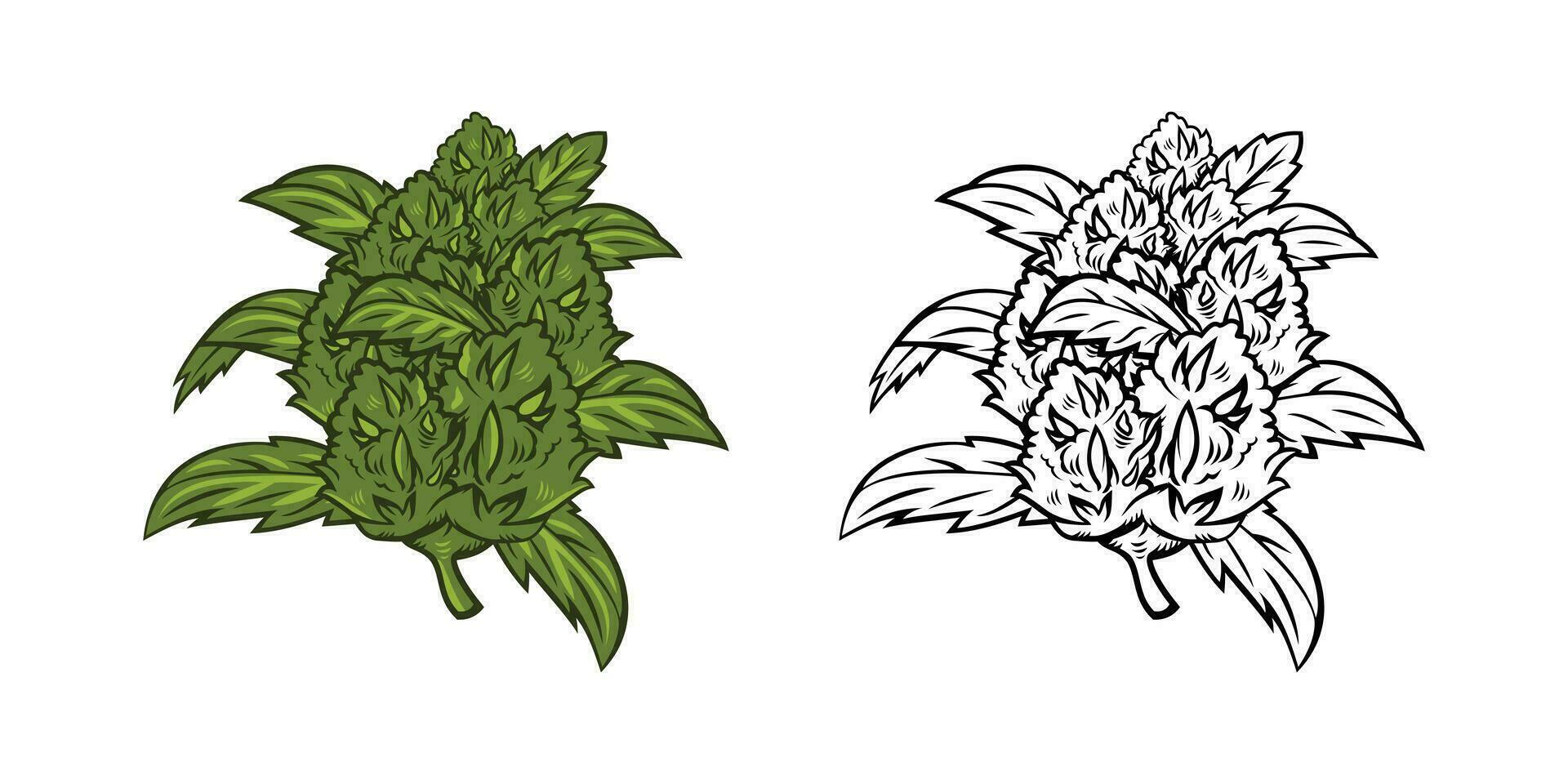 Cannabis Flower Illustration vector