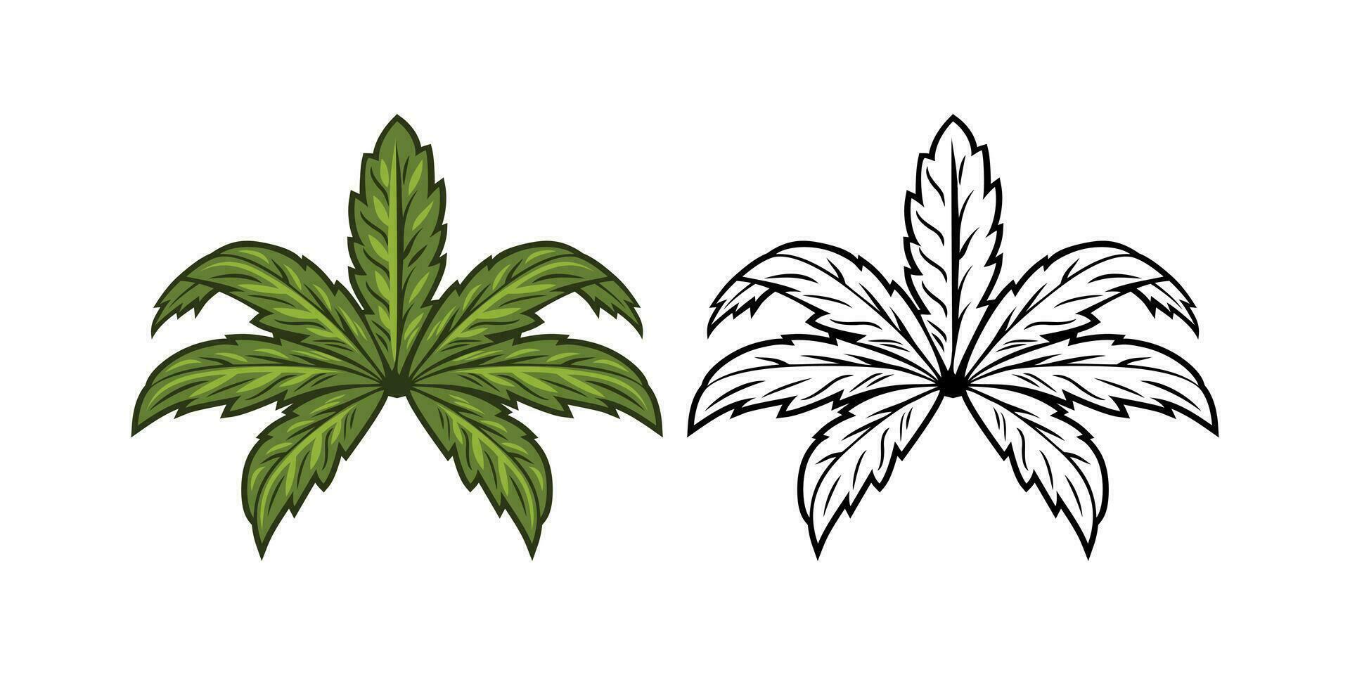 Marijuana Leaf Illustration vector