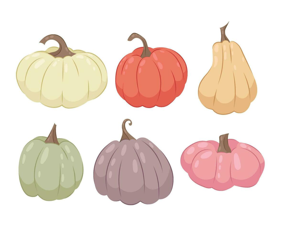 Set of colored decorative pumpkins for your design on a white background. Vector illustration of pumpkins.