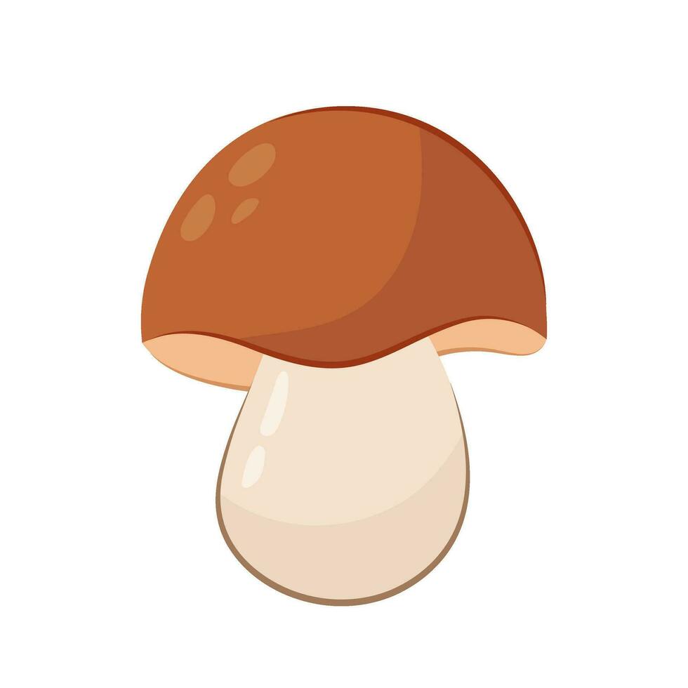 Vector illustration of wild mushroom isolated on white background.