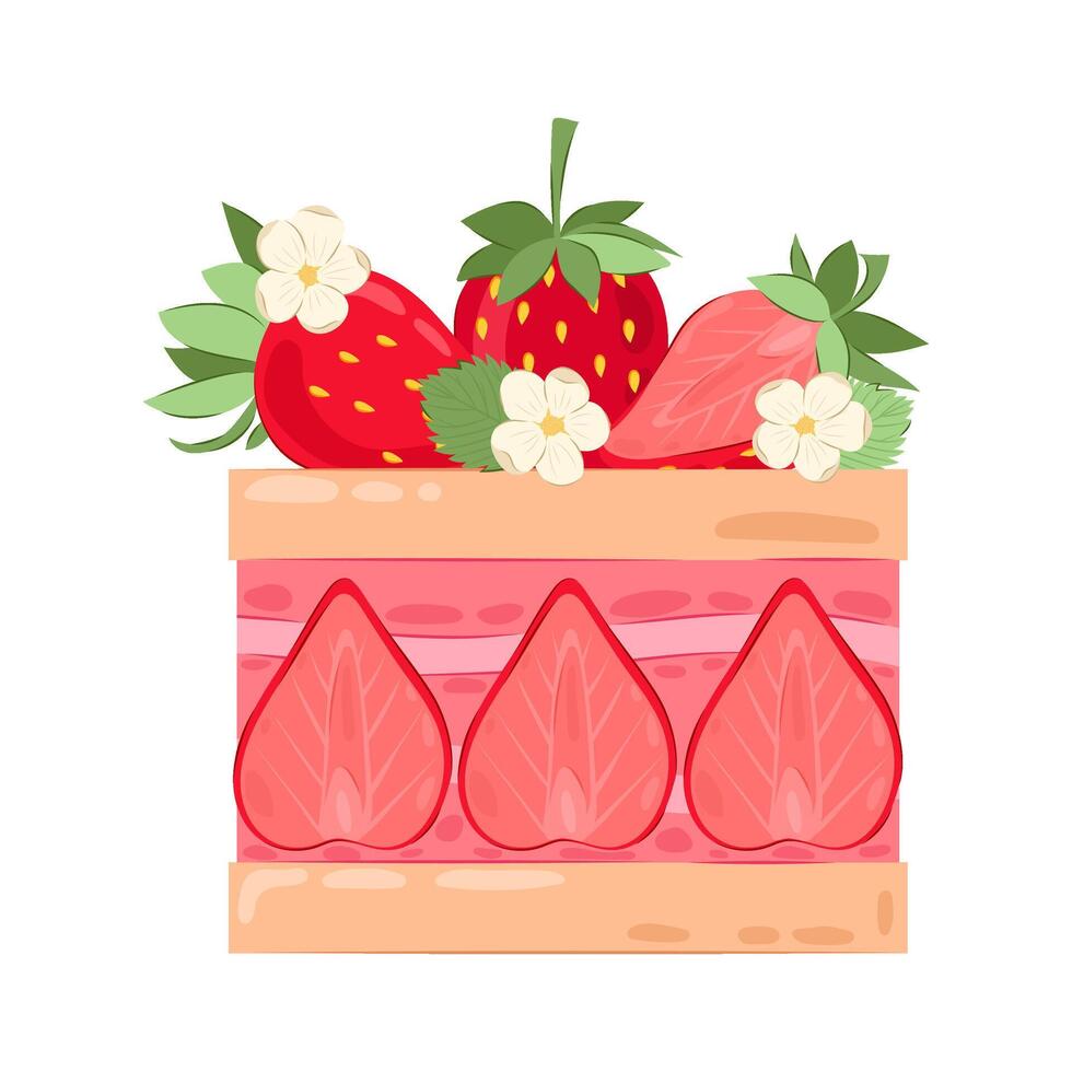 A piece of biscuit dessert with pink cream and strawberry halves. Cake decorated with ripe strawberries flowers and leaves. vector