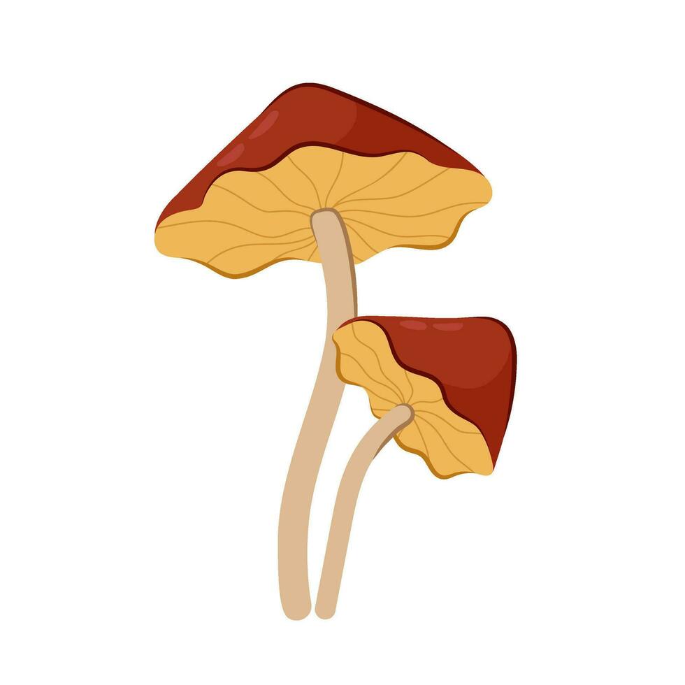 Mushroom vector illustration isolated on white background.