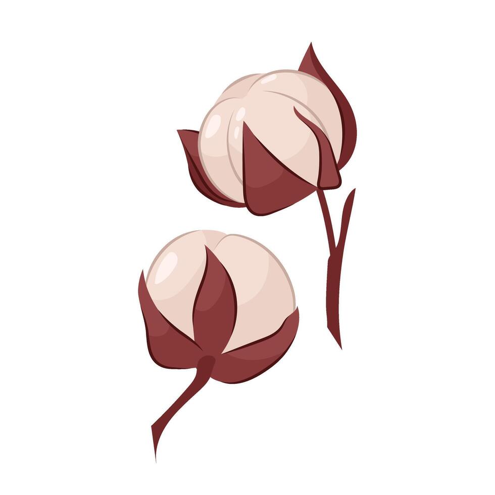 Vector illustration with white fluffy cotton flowers. Natural organic material. Cotton seeds, raw materials for the manufacture of fabrics. Decorative autumn element.