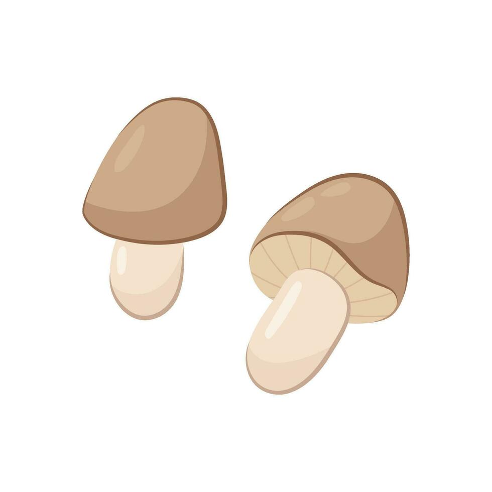 Champignon mushrooms. Vector illustration of small mushrooms in flat style on a white background.