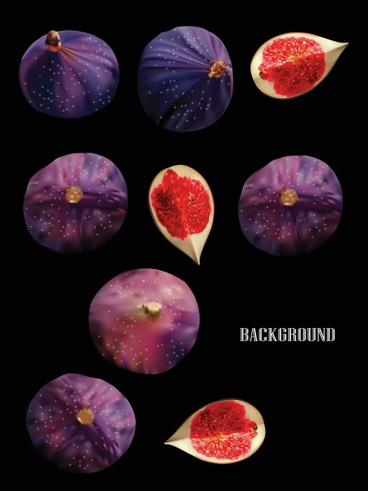 figs fruits sliced vector in red purple and dark background.