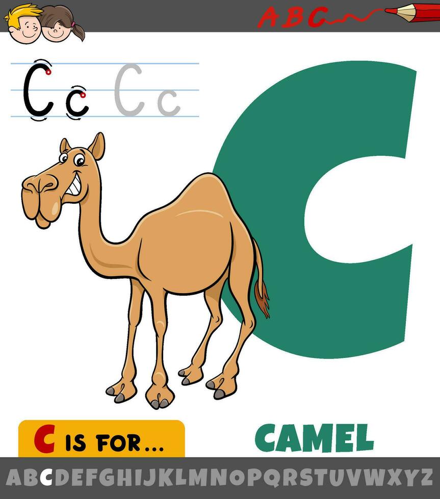 letter C from alphabet with cartoon camel animal character vector