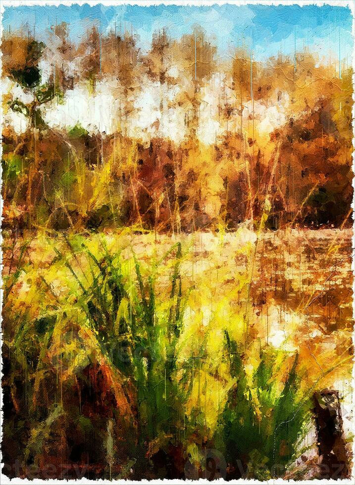 Abstract Impressionism Nature Landscape Digital Painting photo